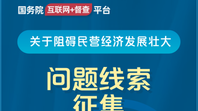 大屌操小紧逼视国务院“互联网+督查”平台公开征集阻碍民营经济发展壮大问题线索